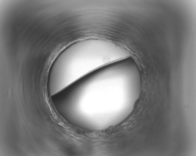 X0000066090241200603101010