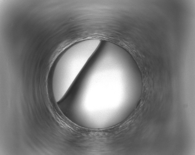 X0000066090242200603101010