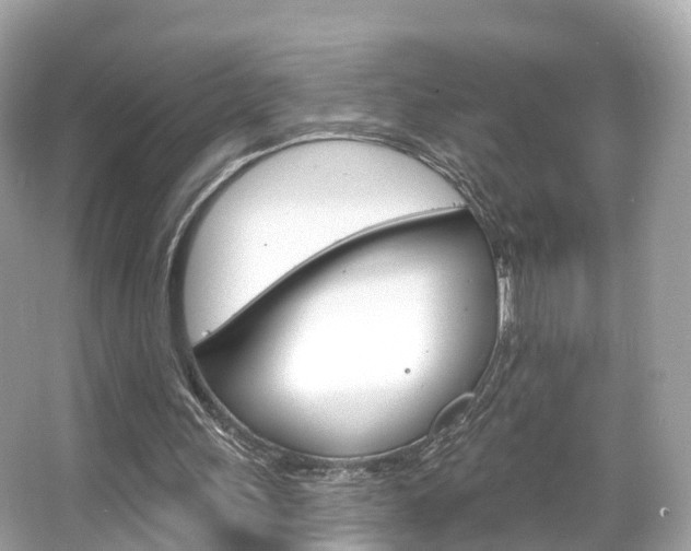 X0000066090243200603101010