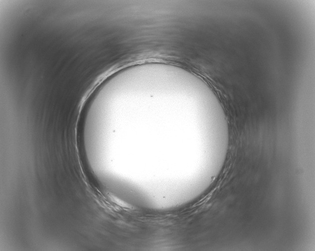 X0000066090244200603101010