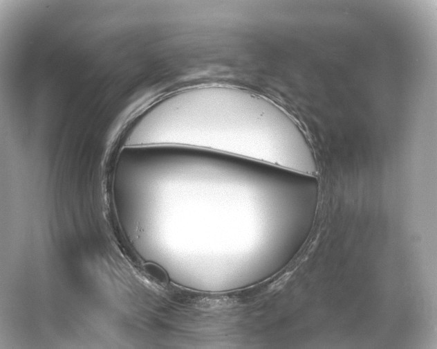 X0000066090245200603101010