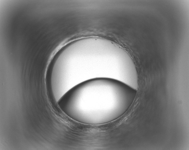 X0000066090246200603101010