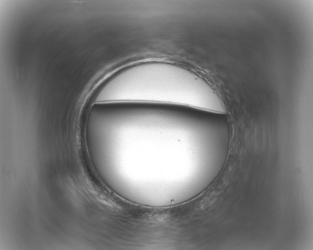 X0000066090247200603101010