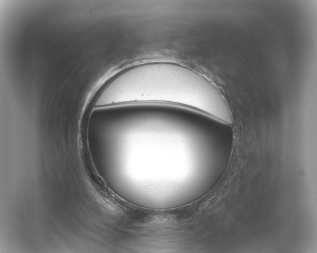 X0000066090248200603101010