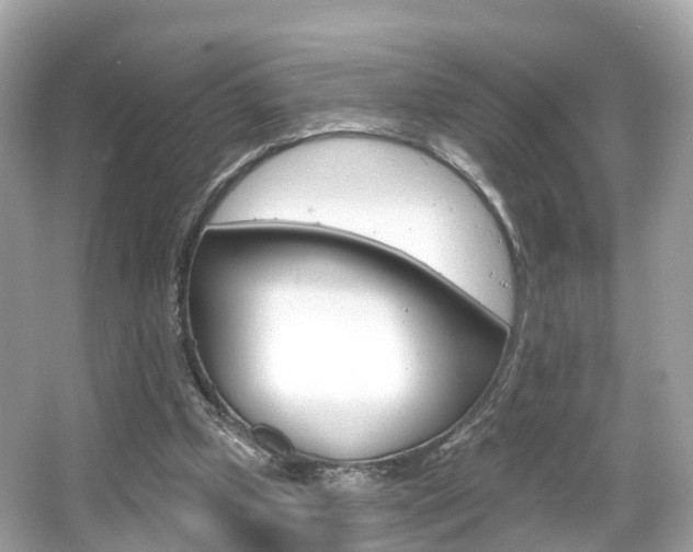 X0000066090249200603101010