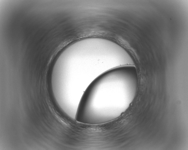 X0000066090250200603101010