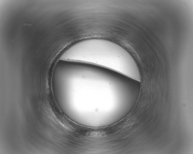 X0000066090251200603101010