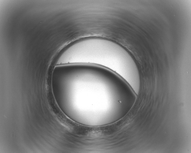 X0000066090252200603101010