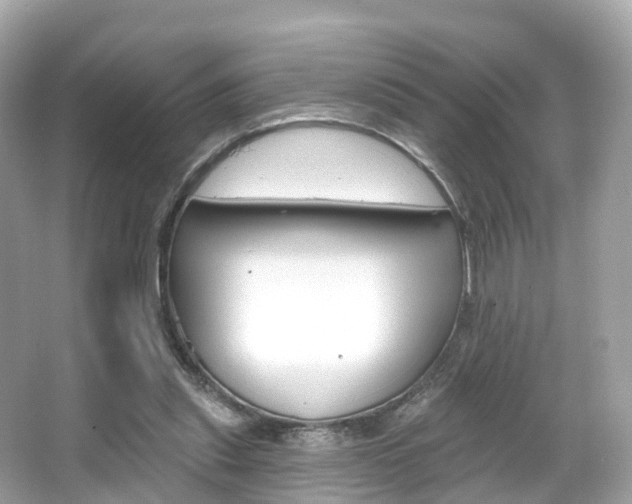 X0000066090253200603101010