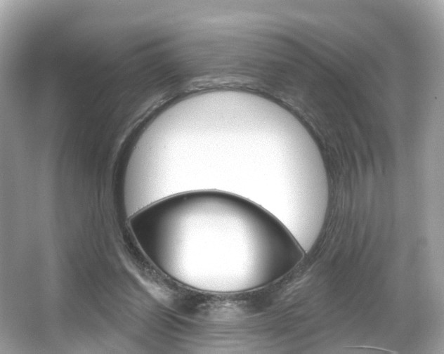 X0000066090254200603101010