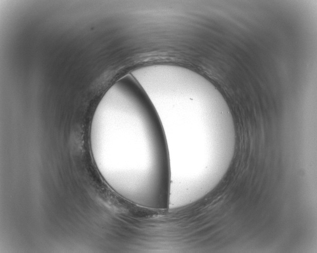 X0000066090255200603101010