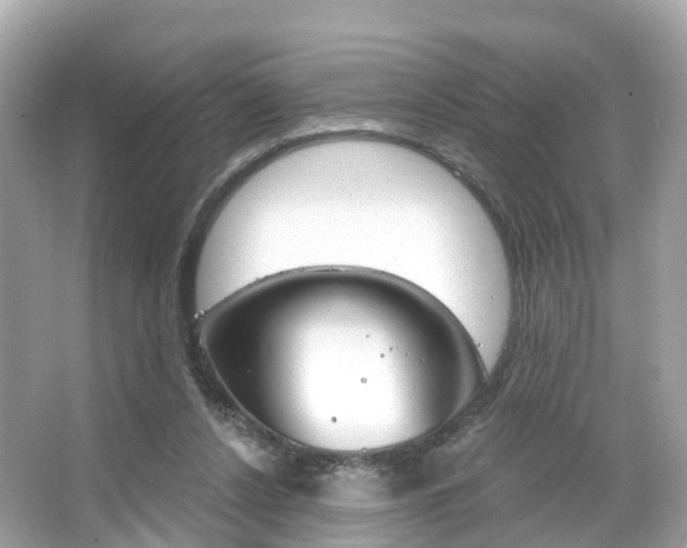 X0000066090256200603101010