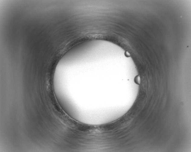 X0000066090259200603101010