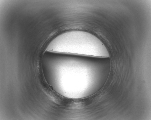 X0000066090260200603101010