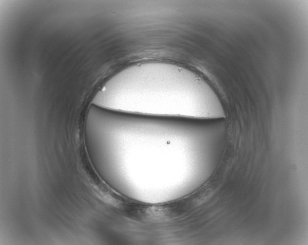 X0000066090261200603101010