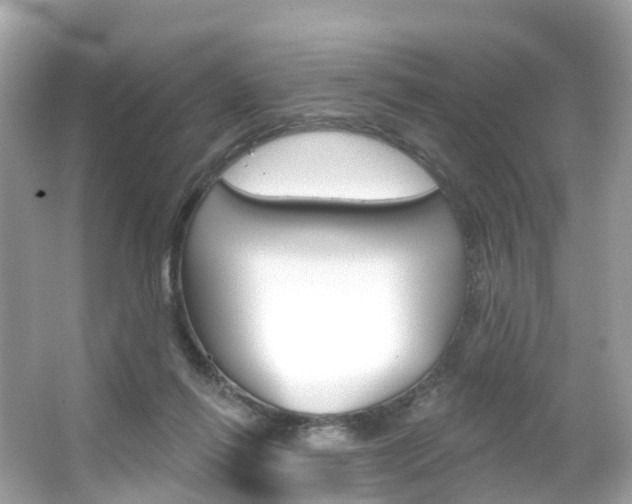 X0000066090262200603101010