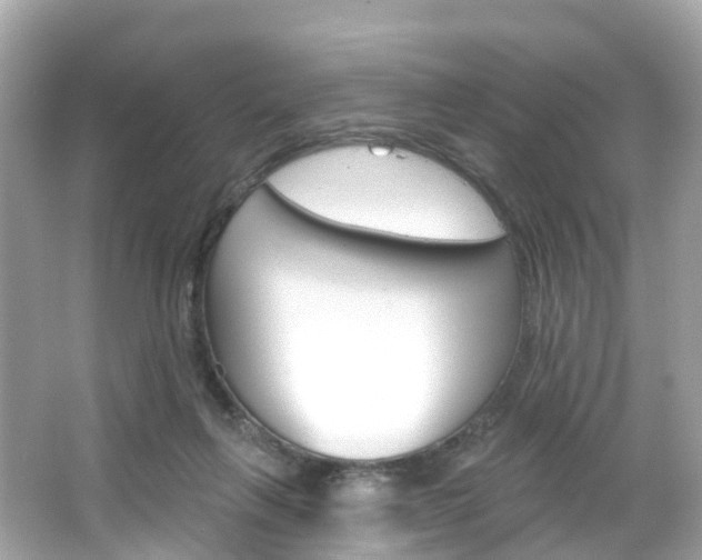 X0000066090263200603101010