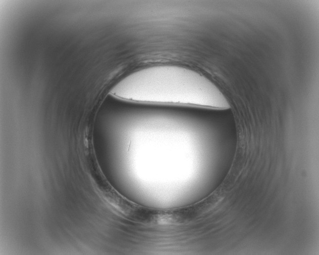 X0000066090264200603101010