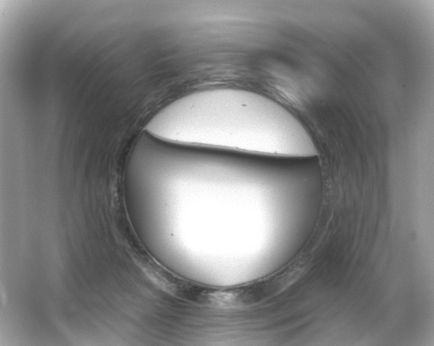 X0000066090265200603101010