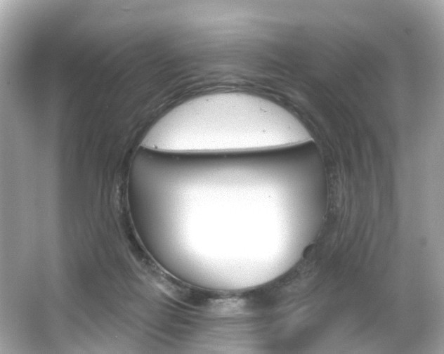 X0000066090266200603101010