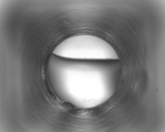 X0000066090267200603101011