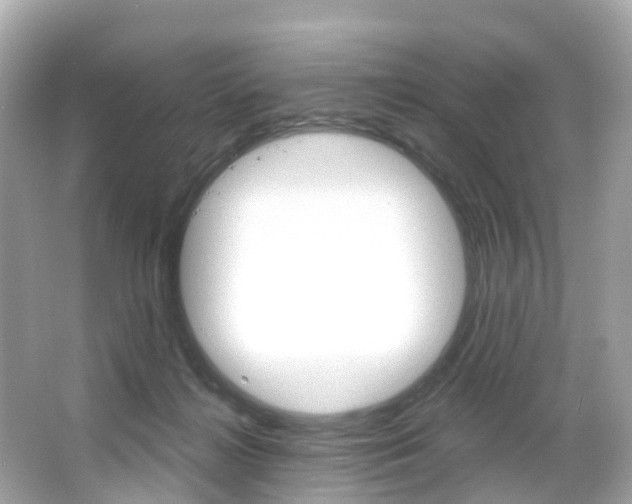 X0000066090268200603101011