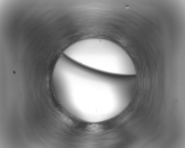 X0000066090269200603101011