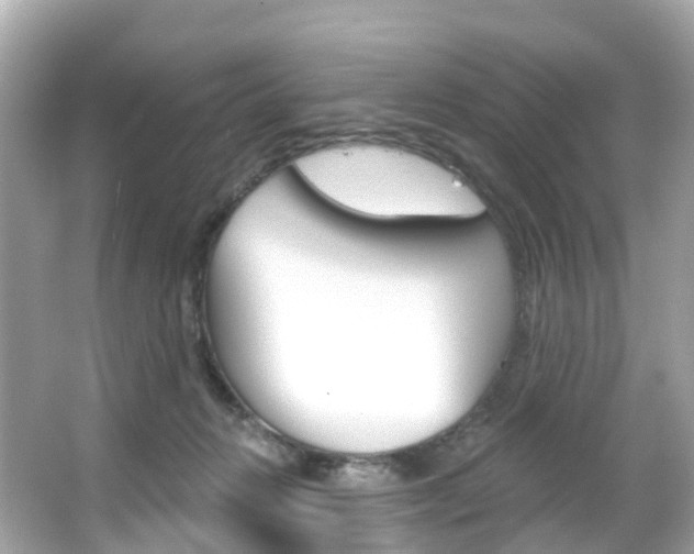 X0000066090270200603101011