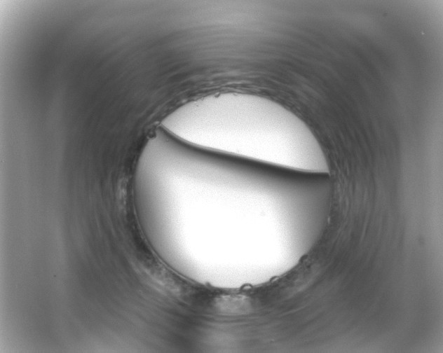 X0000066090271200603101011