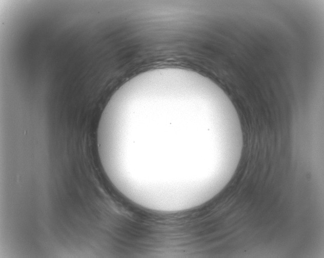 X0000066090272200603101011