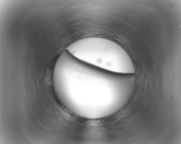 X0000066090273200603101011