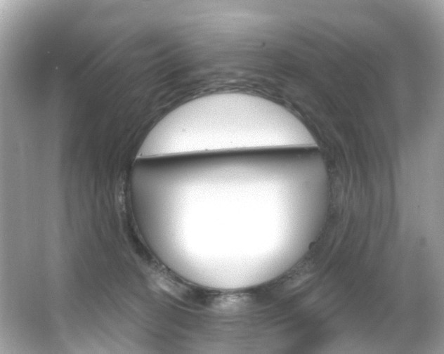 X0000066090274200603101011