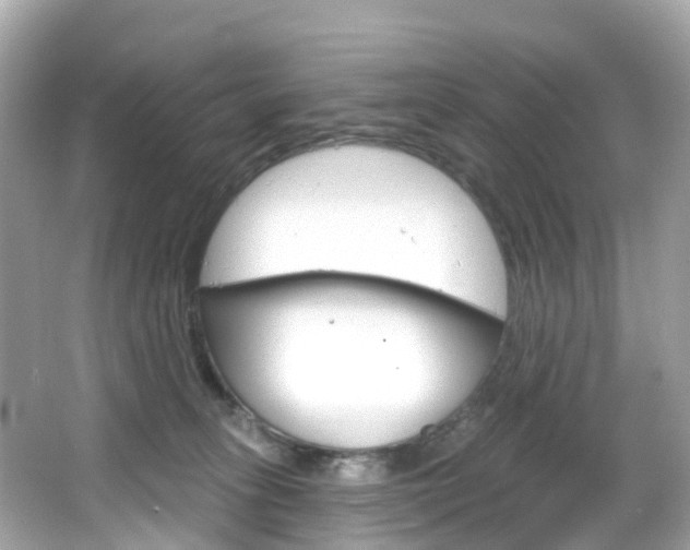 X0000066090275200603101011