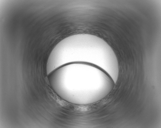 X0000066090276200603101011