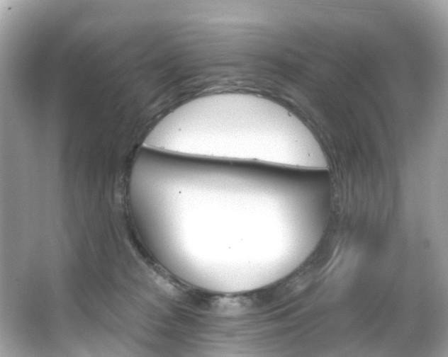 X0000066090277200603101011