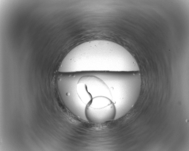 X0000066090278200603101011