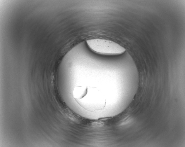 X0000066090279200603101011