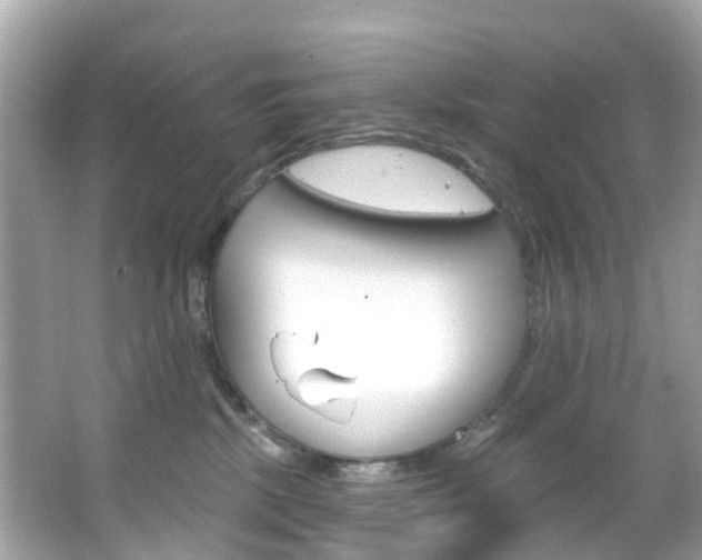 X0000066090281200603101011