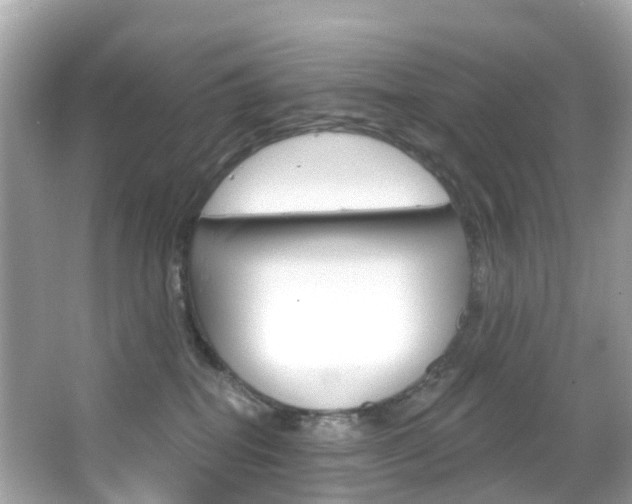 X0000066090282200603101011