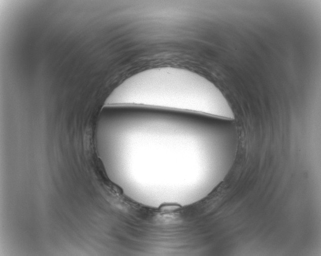 X0000066090283200603101011