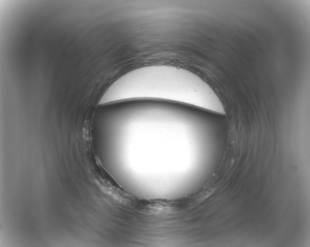 X0000066090284200603101011