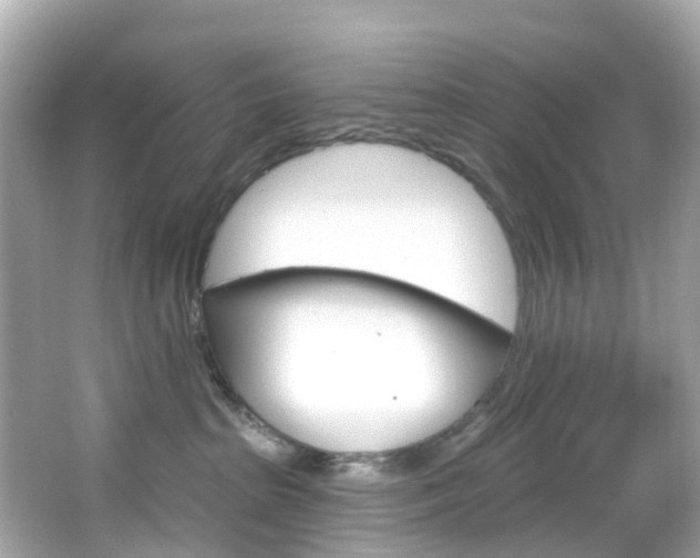 X0000066090285200603101011