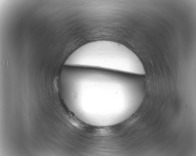 X0000066090286200603101011