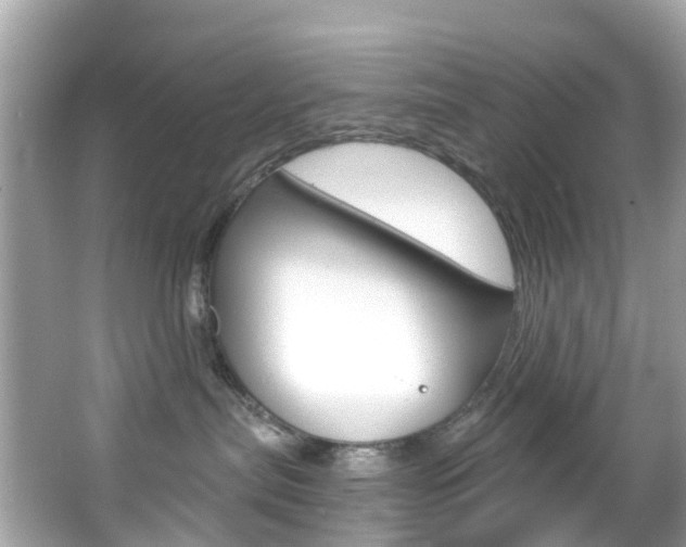 X0000066090287200603101011