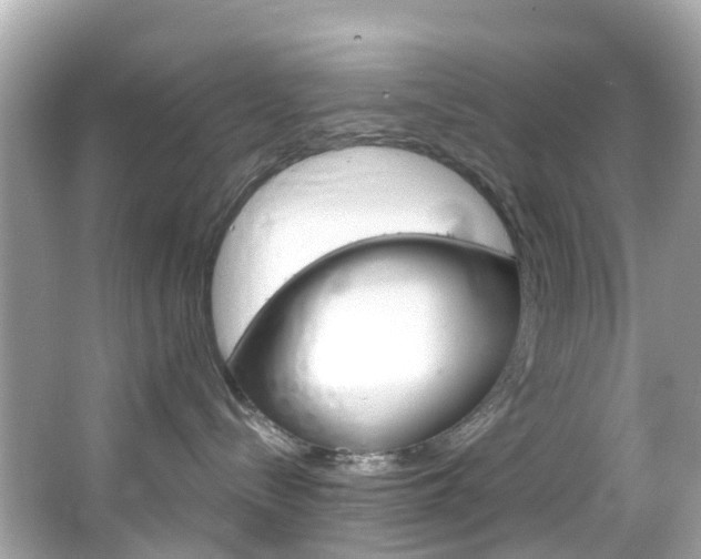 X0000066090288200603101011