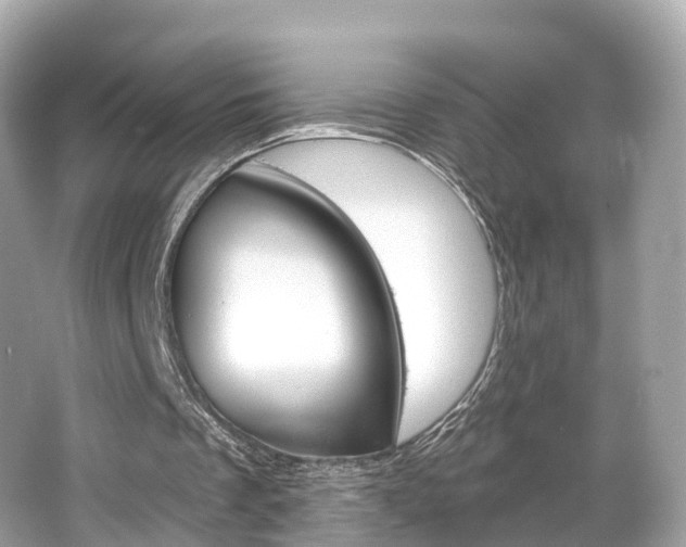 X0000066090289200603101010