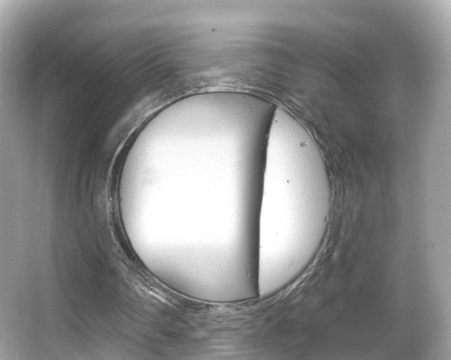 X0000066090290200603101010