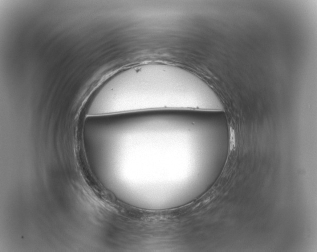 X0000066090291200603101010