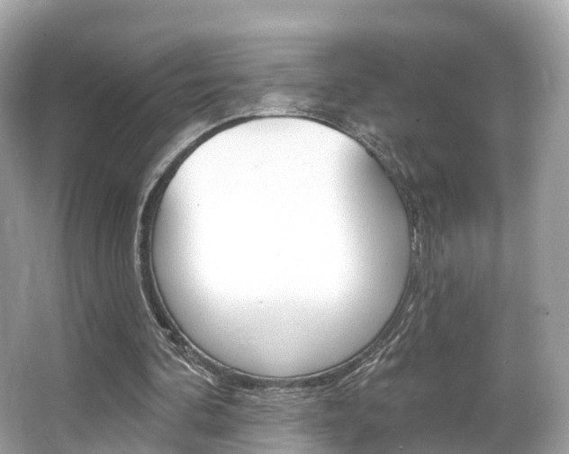 X0000066090292200603101010