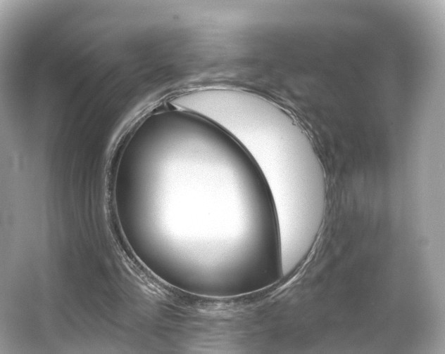 X0000066090293200603101010